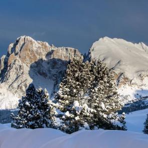 Alpe di Siusi - luty 2014